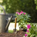 plants-gardening-tools-close-up