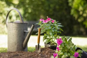 plants-gardening-tools-close-up