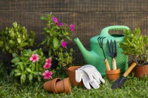 plants-pot-with-watering-can